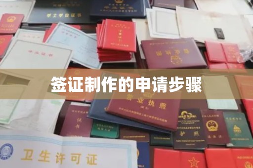 且末签证制作的申请步骤