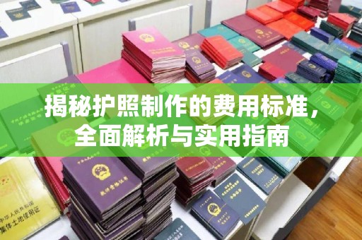 且末揭秘护照制作的费用标准，全面解析与实用指南