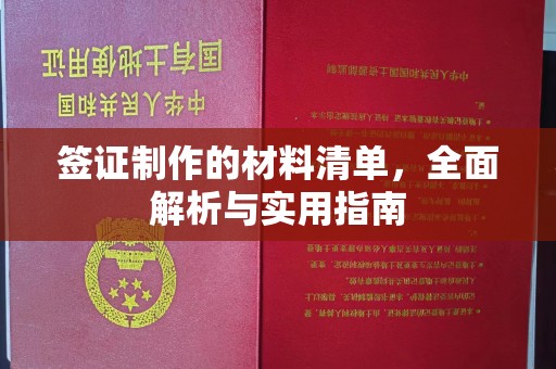 且末签证制作的材料清单，全面解析与实用指南