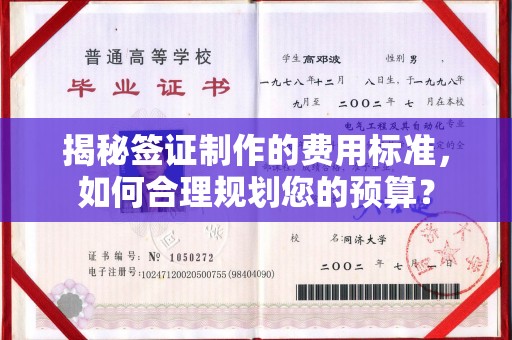 且末揭秘签证制作的费用标准，如何合理规划您的预算？