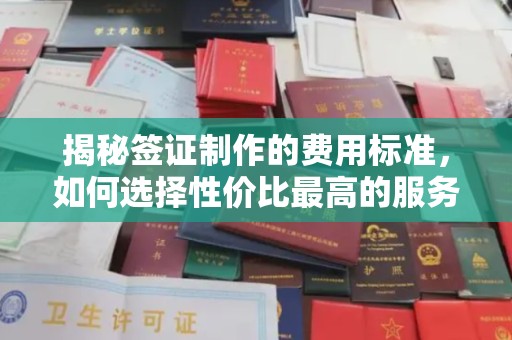 且末揭秘签证制作的费用标准，如何选择性价比最高的服务？